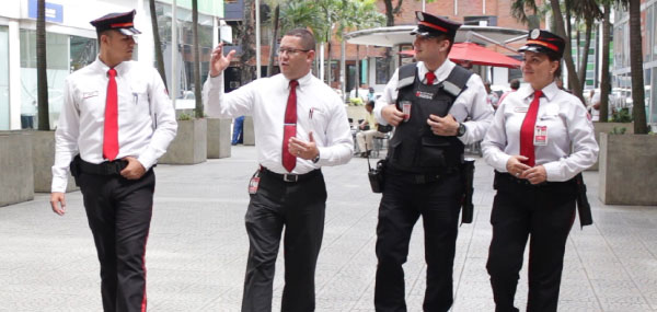 INtegración INteligente - El Trabajo en Equipo